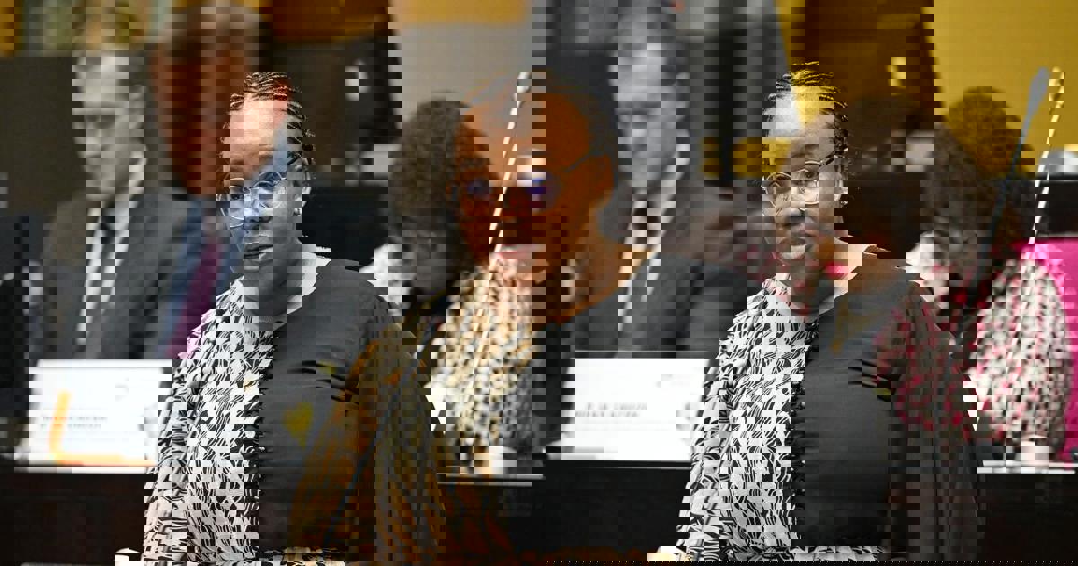 Parly committee welcomes plans to amend law to allow prisoner exchanges, deporting of foreign nationals to serve sentences in countries of origin