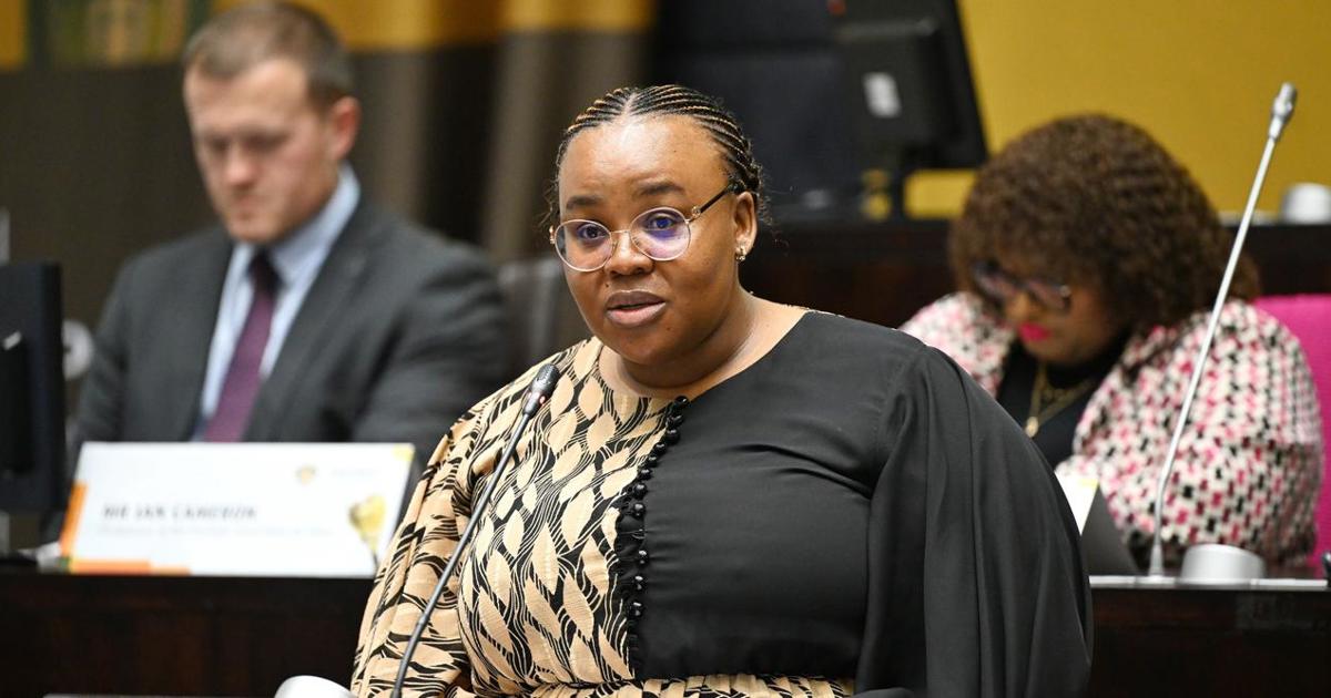 Parly committee welcomes plans to amend law to allow prisoner exchanges, deporting of foreign nationals to serve sentences in countries of origin