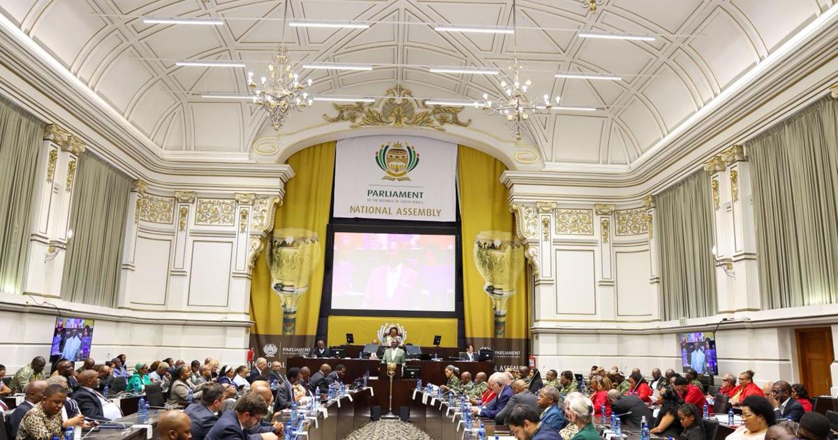 MTBPS: ACDP, ActionSA bemoan low economic growth, illicit trade ...