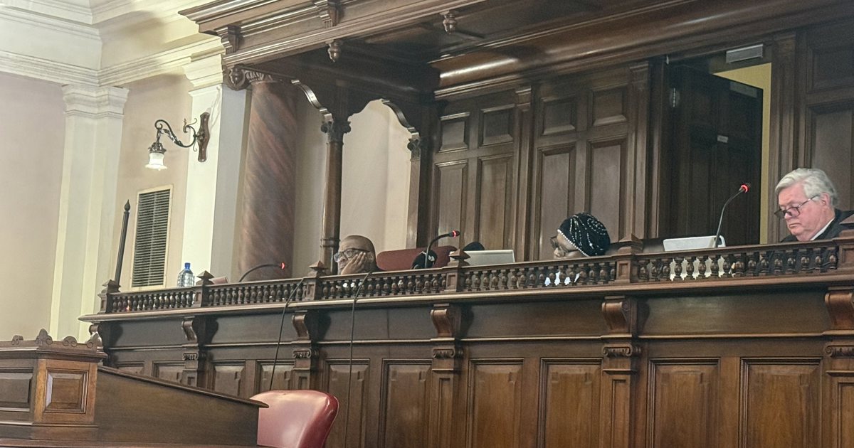Ramaphosa's decision to appoint Cachalia was in interest of maintaining ...