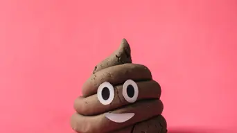 WATCH: Peek-a-poo? Whackhead's craptivating 'method acting' with a landlord lands in eviction WATCH: Peek-a-poo? Whackhead's craptivating 'method acting' with a landlord lands in eviction