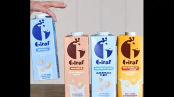 From Mpumalanga to the world: Giraf Macadamia Milk is becoming a global player From Mpumalanga to the world: Giraf Macadamia Milk is becoming a global player