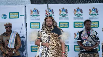 Ramaphosa requests SCA to reverse high court ruling setting aside his recognition of Misuzulu as Zulu king Ramaphosa requests SCA to reverse high court ruling setting aside his recognition of Misuzulu as Zulu king