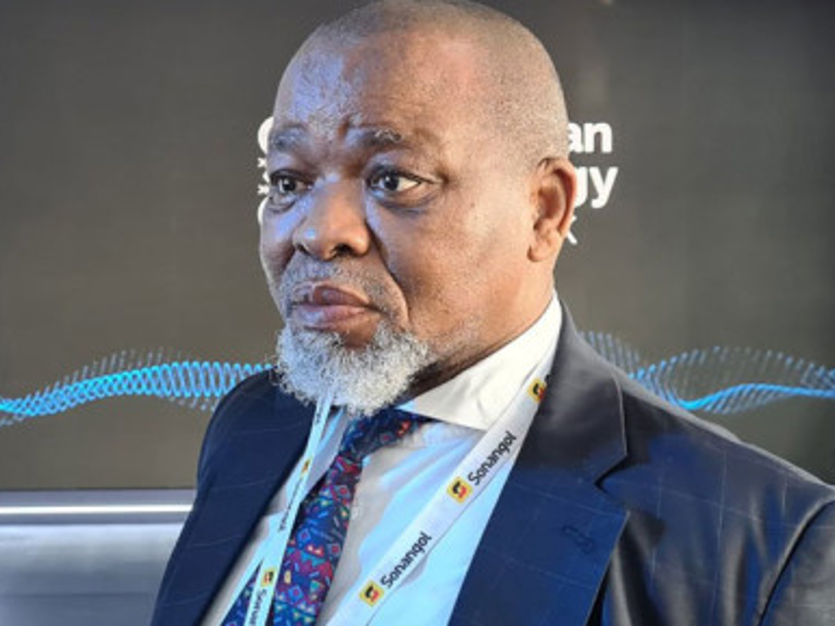 Mantashe announces fund for junior mining companies - Vimarsana News