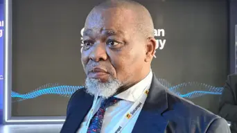 Mantashe's announcement of another delay in rollout of cadastre system 'just extraordinary', says mining expert Mantashe's announcement of another delay in rollout of cadastre system 'just extraordinary', says mining expert
