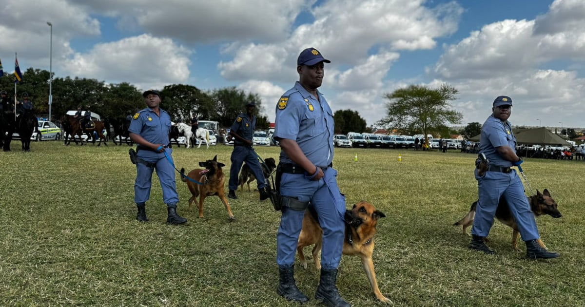 Gauteng police hunt for suspected kidnappers