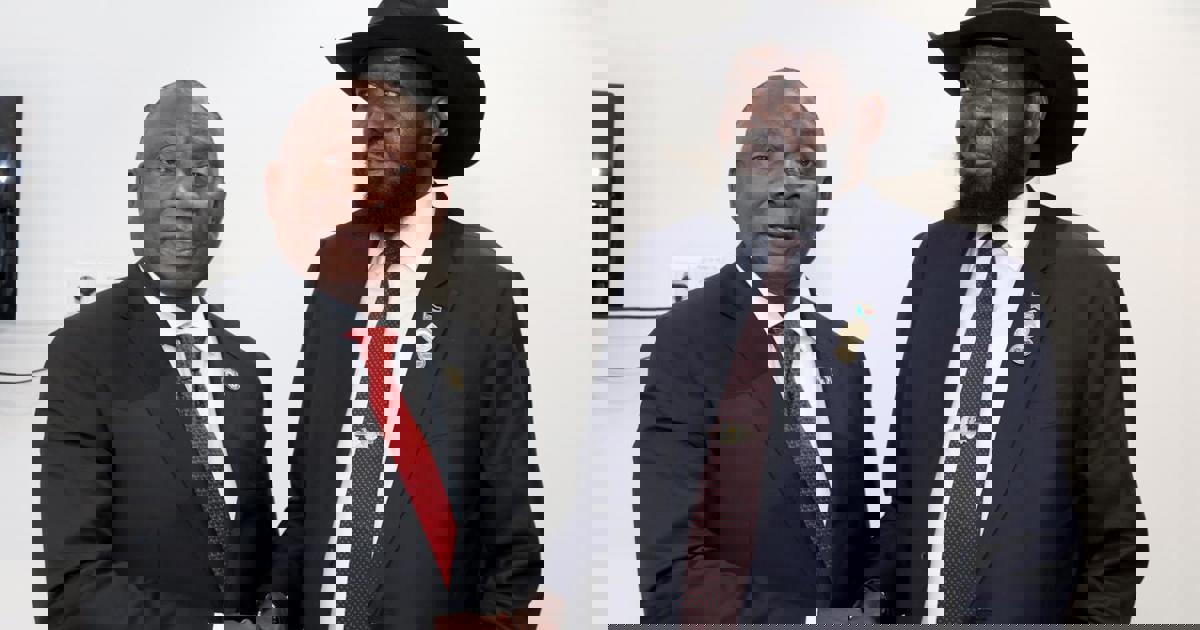 Ramaphosa urges unity as AU summit tackles South Sudan peace process