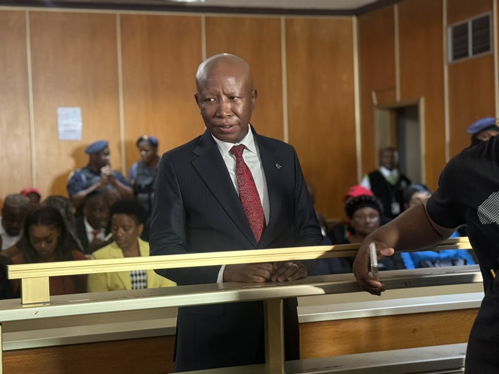 Malema sentencing: Lawyer argues custodial sentence would be 'grossly ...