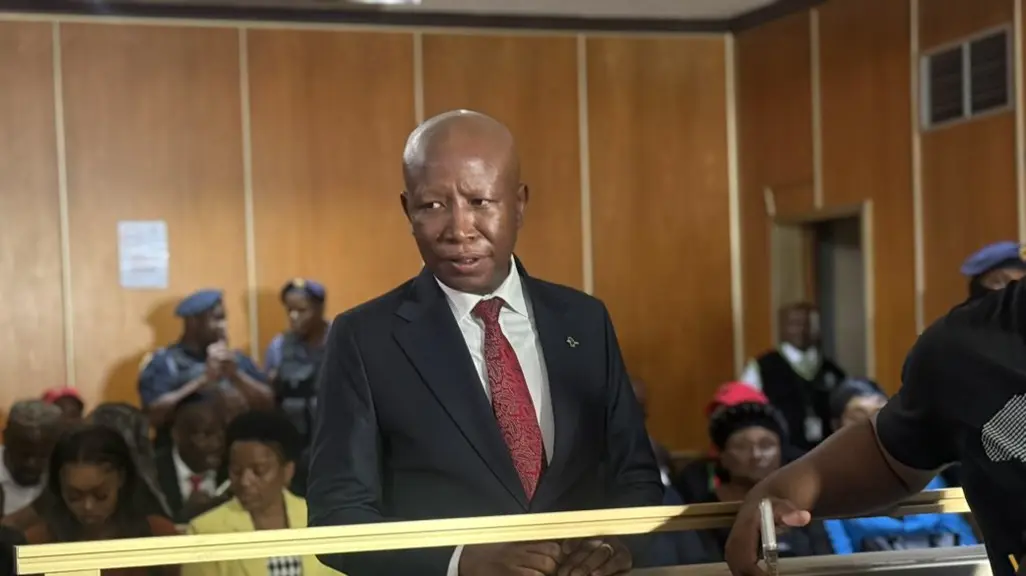 Malema sentencing: Lawyer argues custodial sentence would be 'grossly ...