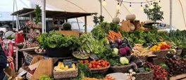 Oranjezicht City Farm Market moving to new V&A Waterfront venue Oranjezicht City Farm Market moving to new V&A Waterfront venue