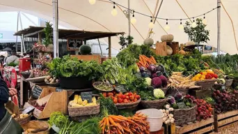 Oranjezicht City Farm Market moving to new V&A Waterfront venue Oranjezicht City Farm Market moving to new V&A Waterfront venue