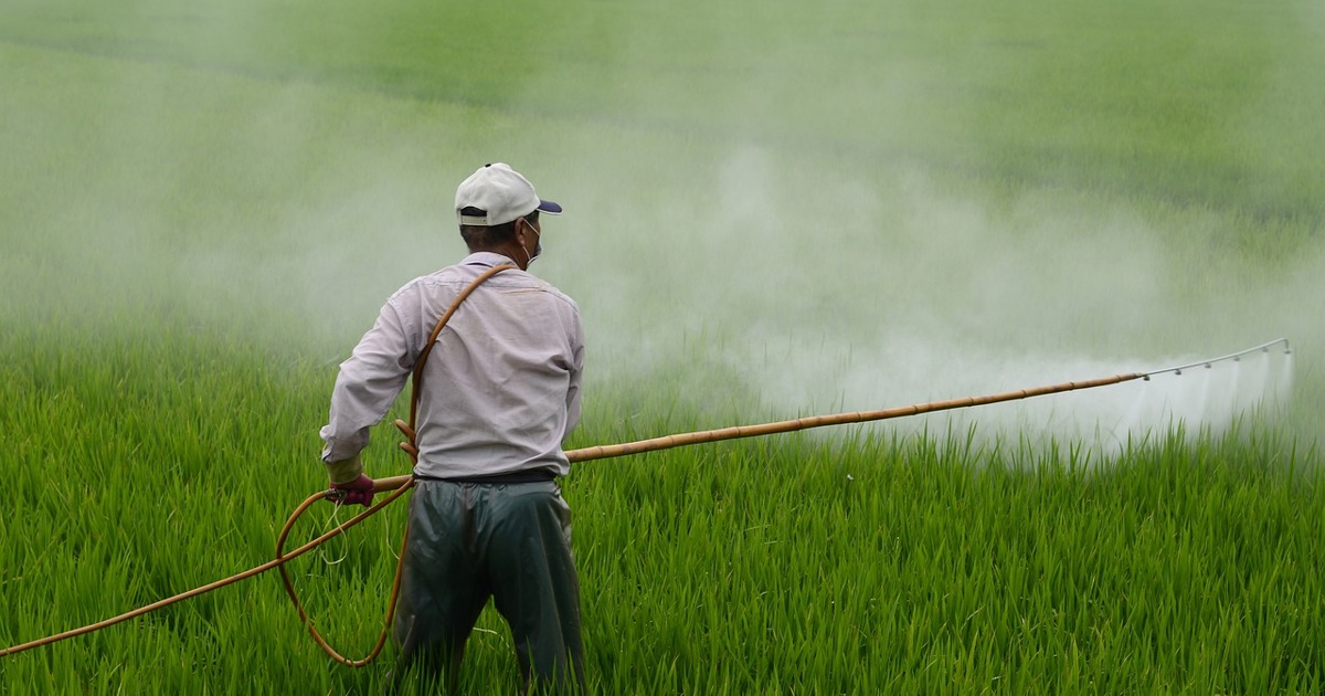 Most South African farmers are black: why Trump got it so wrong (by Johann Kirsten and Wandile Sihlobo, Stellenbosch University)