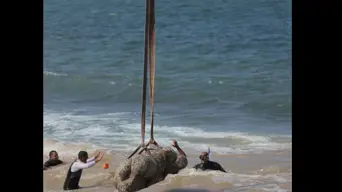 WATCH: Statues from 2 000-year-old sunken city hoisted from the seabed in Egypt WATCH: Statues from 2 000-year-old sunken city hoisted from the seabed in Egypt