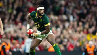 Springboks vs France: watch the 'revenge match' for FREE on DStv Open Time Springboks vs France: watch the 'revenge match' for FREE on DStv Open Time