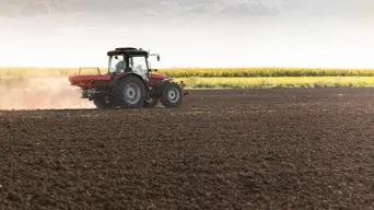 Some Gauteng farmers call for fairer global play in agriculture sector Some Gauteng farmers call for fairer global play in agriculture sector