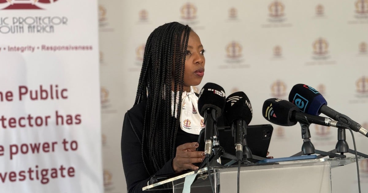 Public Protector finds significant number of spaza shops in Gauteng are registered in the names of SA citizens