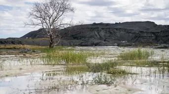 DWS releasing independent probe report into Jagersfontein mine dam collapse DWS releasing independent probe report into Jagersfontein mine dam collapse