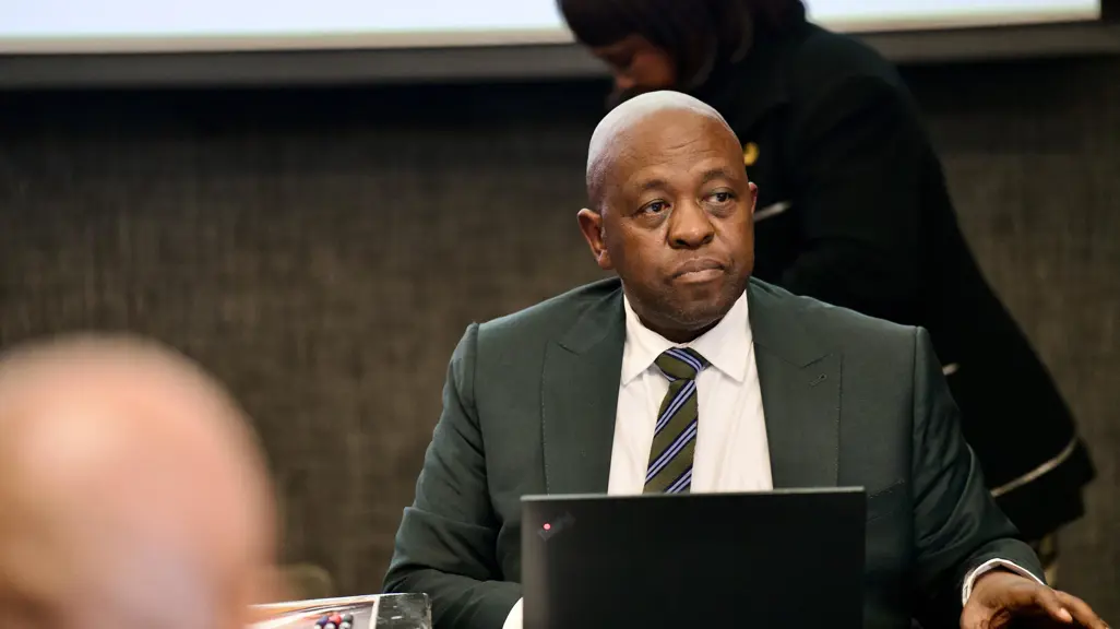 EFF calls on retired Justice Mbuyiseli Madlanga to distance himself from SAPS commission