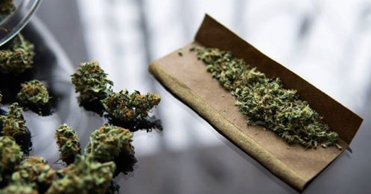 How much is the cannabis industry in SA really worth?