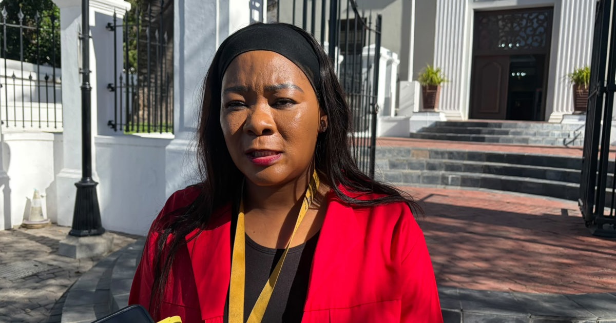EFF believes virtual sitting will disadvantage no-confidence vote against Speaker Didiza