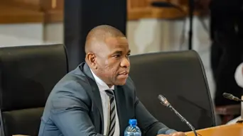 KZN top cop Mkhwanazi details origin of political killings task team at Madlanga Commission KZN top cop Mkhwanazi details origin of political killings task team at Madlanga Commission