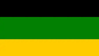 ANC infighting sparks fears of electoral fallout in stronghold provinces ANC infighting sparks fears of electoral fallout in stronghold provinces