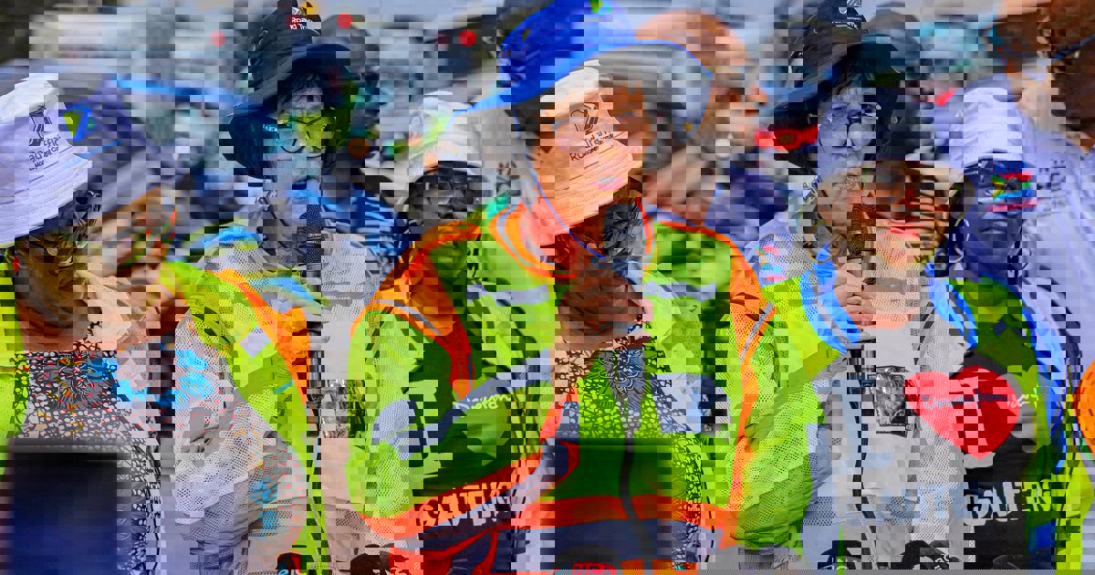 Transport Minister Creecy concerned about rising child brain trauma from crashes