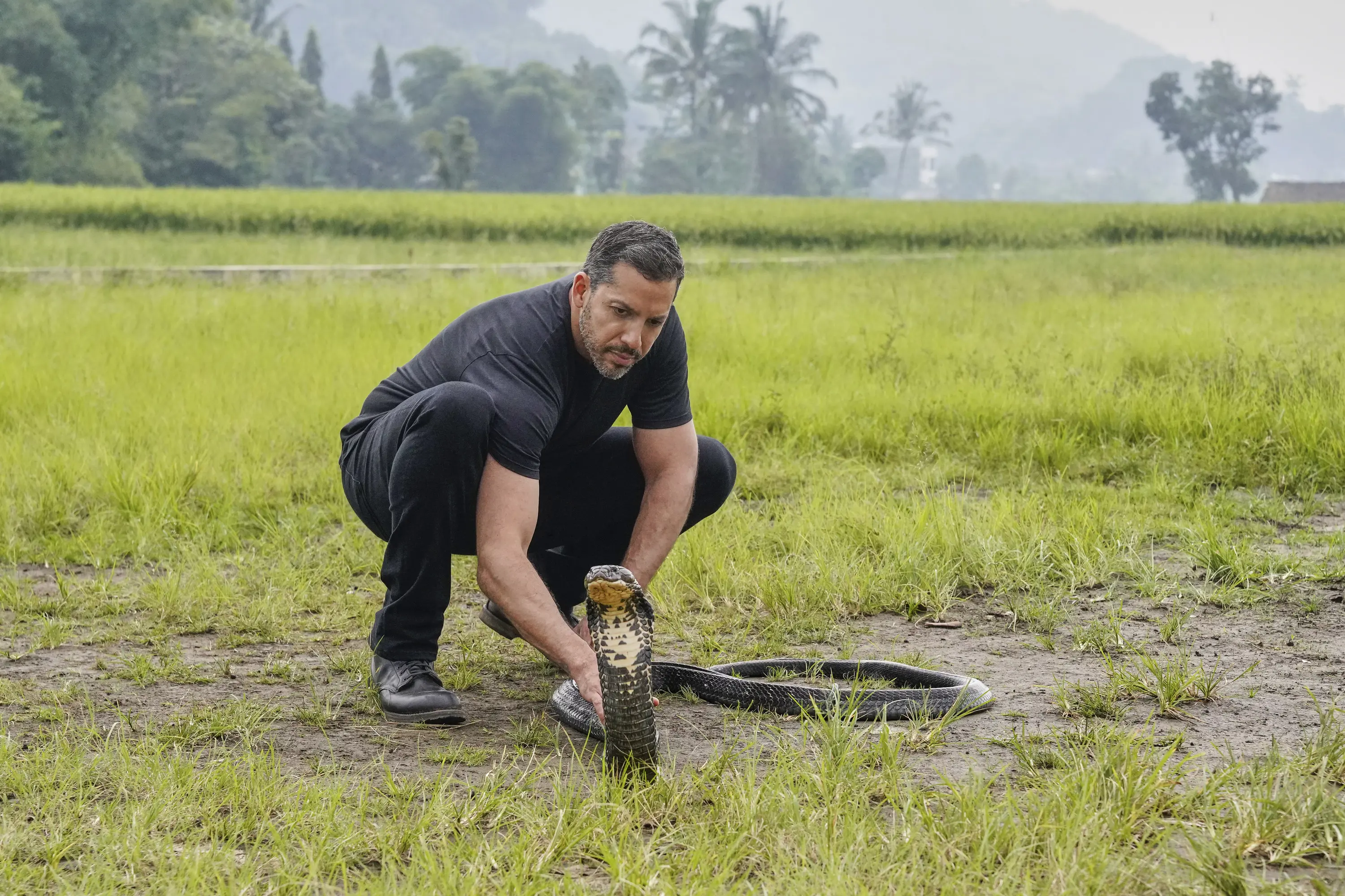 From feats of athleticism to kissing king cobras, DAVID BLAINE: DO NOT ATTEMPT uncovers the rituals, preparation and strength that take magic beyond mere illusion. Picture credit: Supplied From feats of athleticism to kissing king cobras, DAVID BLAINE: DO NOT ATTEMPT uncovers the rituals, preparation and strength that take magic beyond mere illusion. Picture credit: Supplied