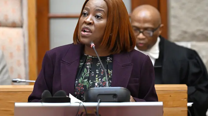 'Toothless Poodle': Opposition slams DPME's inability to enforce ...