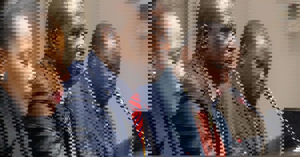 MK Party, EFF clash over calling judges to Parly’s committee probing ...