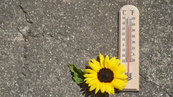 WEATHER: Expect hot sunshine in Gauteng on Friday, mild Cape Town WEATHER: Expect hot sunshine in Gauteng on Friday, mild Cape Town