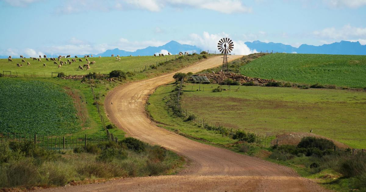 Govt relying on 2017 audit for foreign land ownership data, says minister