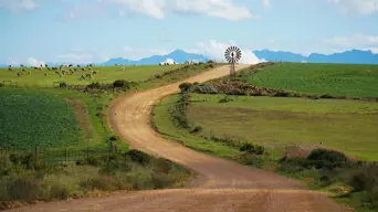 DA digs its heels in over Expropriation Act's ‘nil compensation’ clause DA digs its heels in over Expropriation Act's ‘nil compensation’ clause