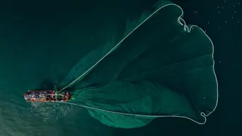 Minister Aucamp boosts small-scale fishing quotas, but fishers urge better consultation Minister Aucamp boosts small-scale fishing quotas, but fishers urge better consultation