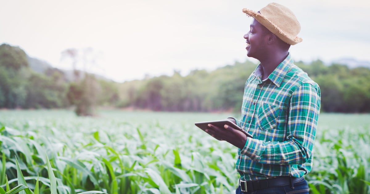 ‘Super El Niño’ looms, but farmers shouldn’t plant less, says agricultural economist - EWN