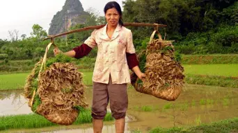 Global summit in Cape Town spotlights gender equality in agriculture Global summit in Cape Town spotlights gender equality in agriculture