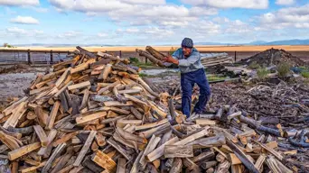 Raising revenue from alien invasives Raising revenue from alien invasives