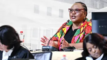 Didiza says Parliament considering Mkhwanazi's allegations Didiza says Parliament considering Mkhwanazi's allegations