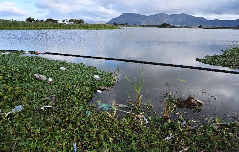 CoCT installs 8 waste interceptors in local rivers, waterways in bid to ...