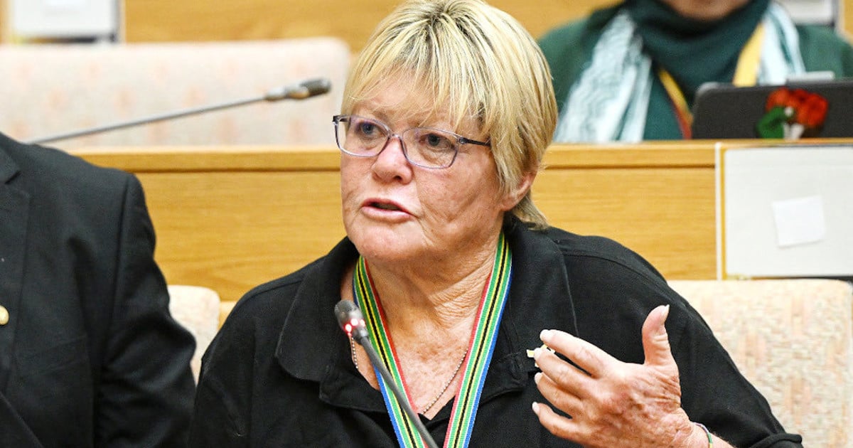 DA's Breytenbach says Mkhwanazi should have approached Parly instead of ...