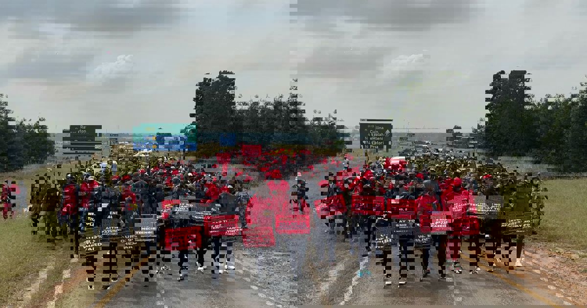 EFF accuses govt of turning a blind eye to whites-only Kleinfontein ...