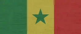 Senegal arrests 14 members of alleged paedophile gang Senegal arrests 14 members of alleged paedophile gang
