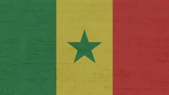 Nearly 30 die in traffic accidents during annual Senegal pilgrimage Nearly 30 die in traffic accidents during annual Senegal pilgrimage