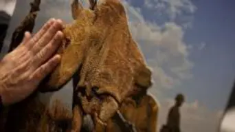 How groundbreaking tech enables the visually impaired to 'see' photographs at WORLD UNSEEN exhibit (on at Iziko Museum) How groundbreaking tech enables the visually impaired to 'see' photographs at WORLD UNSEEN exhibit (on at Iziko Museum)