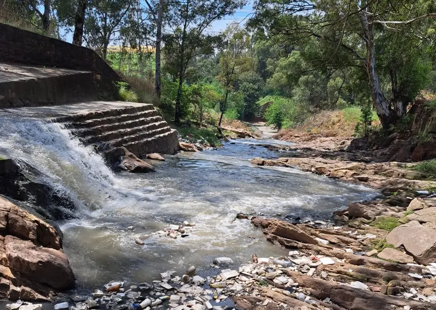 The streams that come together to form the Klip River are heavily polluted with sewage, industrial waste and refuse. A University of Johannesburg study found 4,000 types of microorganisms (many deadly) in water samples from the Bosmont Spruit, which enters the Klip River near Orlando. Picture: Johannes Khoele The streams that come together to form the Klip River are heavily polluted with sewage, industrial waste and refuse. A University of Johannesburg study found 4,000 types of microorganisms (many deadly) in water samples from the Bosmont Spruit, which enters the Klip River near Orlando. Picture: Johannes Khoele