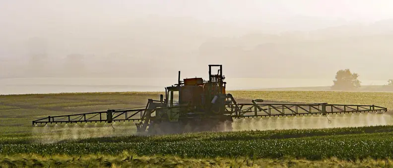 EWN | Agriculture sector