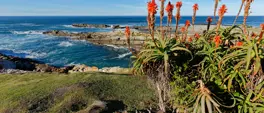 South Africa’s Garden Route crowned best road trip on earth South Africa’s Garden Route crowned best road trip on earth