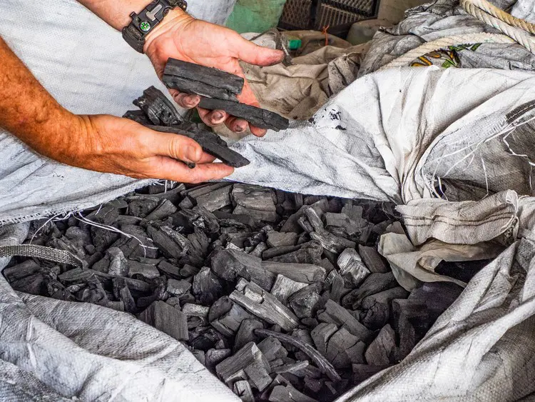 Biochar is used to improve soil fertility and crop production. It is produced by burning invasive alien vegetation in a high-temperature, oxygen-limited environment. Picture: NWSMA Biochar is used to improve soil fertility and crop production. It is produced by burning invasive alien vegetation in a high-temperature, oxygen-limited environment. Picture: NWSMA