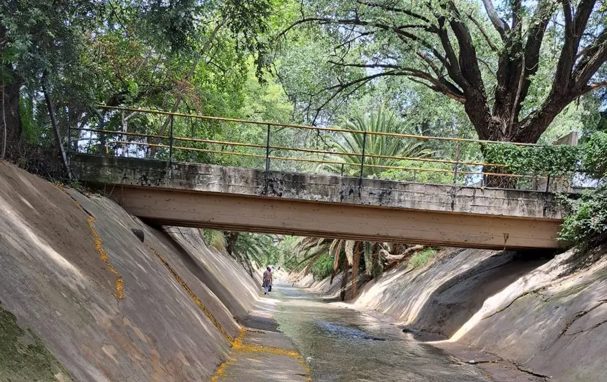 Stretches of the Robinson Canal are unexpectedly beautiful, like the section that leads out of Ophirton Industria. Picture: Sean Christie/GroundUp Stretches of the Robinson Canal are unexpectedly beautiful, like the section that leads out of Ophirton Industria. Picture: Sean Christie/GroundUp