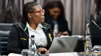 Mbenenge tribunal: Ngoepe deems evidence by third witness prejudicial towards Mengo Mbenenge tribunal: Ngoepe deems evidence by third witness prejudicial towards Mengo